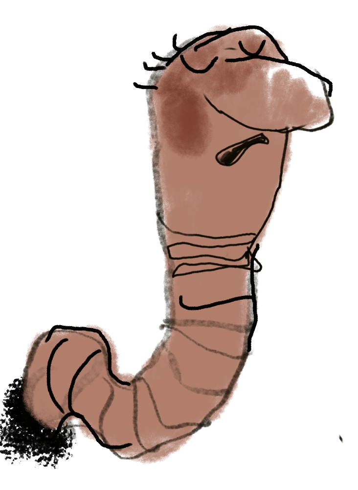 Béla